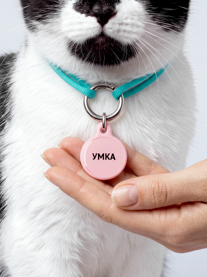 Питомец в адреснике OMYDOG