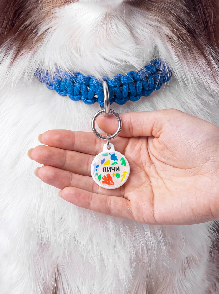 Питомец в адреснике OMYDOG